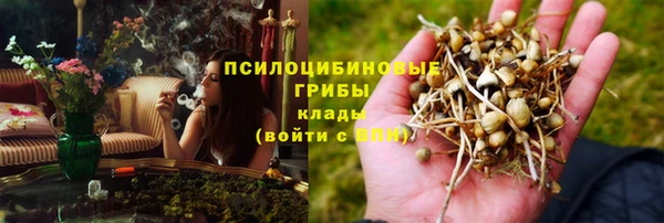 СК Верея