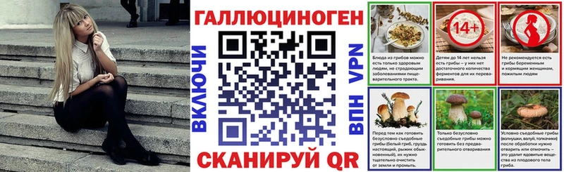 Псилоцибиновые грибы GOLDEN TEACHER  Купить где  Георгиевск 